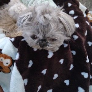 Meet your Posher, Janie